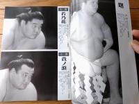 【名古屋と相撲（第１５号/大相撲名古屋場所/平成８年）】「浅井に眠る力士たち」「愛知・岐阜・三重 現役郷土力士鑑」等