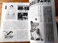 【名古屋と相撲（第１５号/大相撲名古屋場所/平成８年）】「浅井に眠る力士たち」「愛知・岐阜・三重 現役郷土力士鑑」等