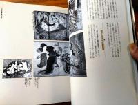 【江戸の春・異邦人満開/リチャード・レイン（定本浮世絵春画名品集成・別巻）】河出書房新社（平成１０年初版）
