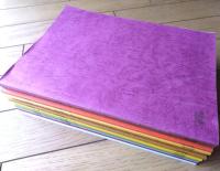 当時物【日曜劇場「サラリーマン金太郎２（高橋克典・主演）/決定稿・全１２話揃い」シナリオ台本】木下プロ・ＴＢＳ/平成１２年