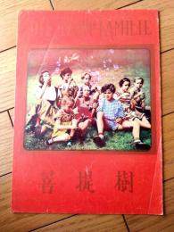 当時物【映画「菩提樹（ルート・ロイヴェリック主演/ヴォルフガング・リーベンアイナー監督）」パンフレット（Ｂ５/全１２Ｐ）】昭和３２年