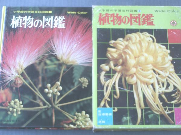 小学館の学習百科図鑑 植物の図鑑 箱付 昭和51年 獅子王堂 古本 中古本 古書籍の通販は 日本の古本屋 日本の古本屋