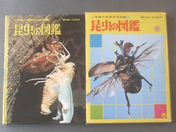 古い昆虫図鑑 古い昆虫図鑑 （古い本 その25 古い昆虫図鑑 - OK元学芸員の