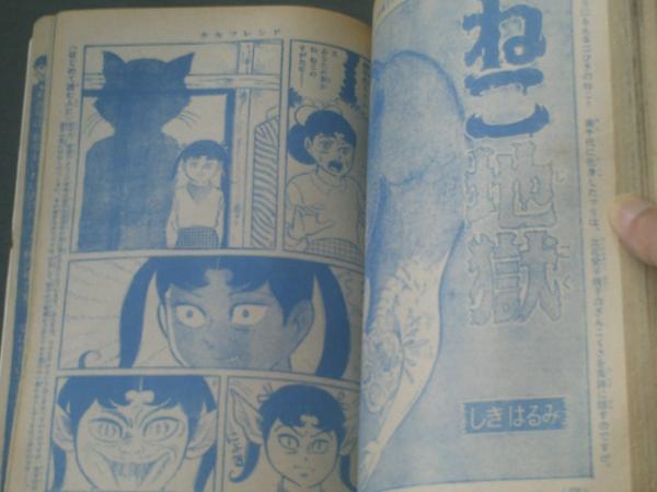 プチフラワー 1981年5月号 風忍 単行本未収録作品
「緑のおばさんが恐い」 プラチナ万年筆 富士旬景 ＃3776 センチュリー【 錦秋(きん