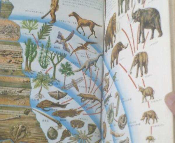 小学館の学習図鑑シリーズ10 地球の図鑑】昭和44年（箱付き