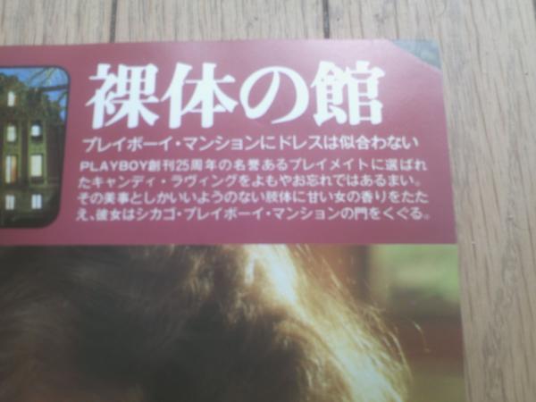 日本版特別編集PLAYBOY PART2（ピクトリアル
