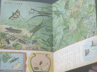 【キンダーブック（昭和３８年７月号）/こんちゅう】指導 文・矢島稔（フレーベル館）