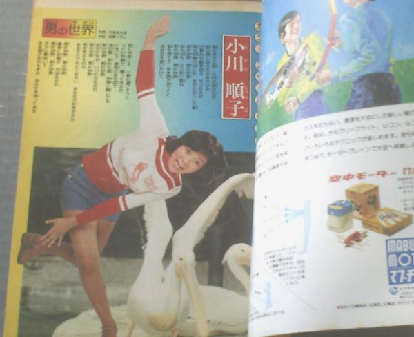 週刊少年チャンピオン（昭和50年45号）】カラー・アイドル