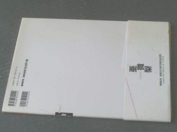 中山エミリ写真集 亜微梨（井ノ元浩二・撮影）】集英社（平成9年初版
