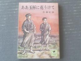 【ああ玉杯に花うけて（佐藤紅緑）】少年倶楽部文庫（昭和５０年初版）