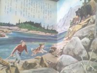 【講談社のディズニー絵本 ワイルド・ドッグ（久米元一・文/梁川剛一・絵）】昭和３７年１月増刊号