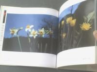 【彩景色いろどりげしき 西岡伸太写真集】京都書院（昭和６２年初版）