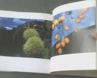 【彩景色いろどりげしき 西岡伸太写真集】京都書院（昭和６２年初版）