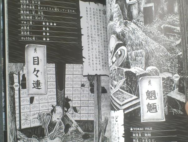 ゲゲゲの鬼太郎 妖怪ファイル（水木しげる）】講談社（平成30