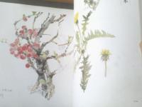 志村立美画集 かんざし（箱2種類付き）】大日本絵画巧芸美術（昭和