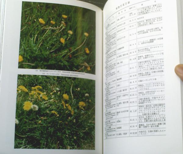 皇居の植物 | 生物学御研究所 |本 | 通販 | Amazon