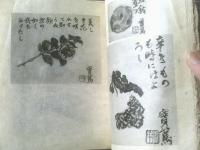 戦前【これくしょん 第３７号（武者小路実篤 日本画小作号）/全２８ページ】吾八（昭和１５年）