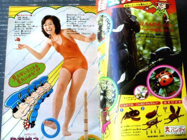 週刊少年チャンピオン（昭和50年35号）】カラーアイドルグラフ