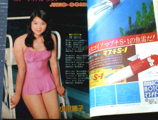 昭和のアイドル写真集 純子
