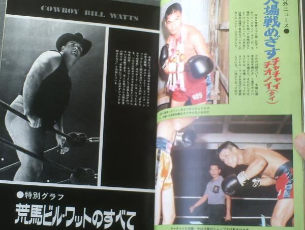 プロレス 別冊ゴング2月号(別冊付録)
