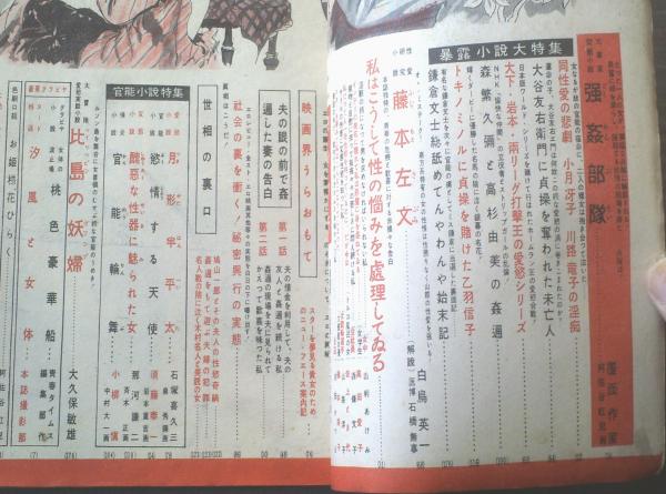 官能小説まとめ売り　計８５冊 2025年最新】Yahoo!オークション -官能小説 全巻セットの中古品