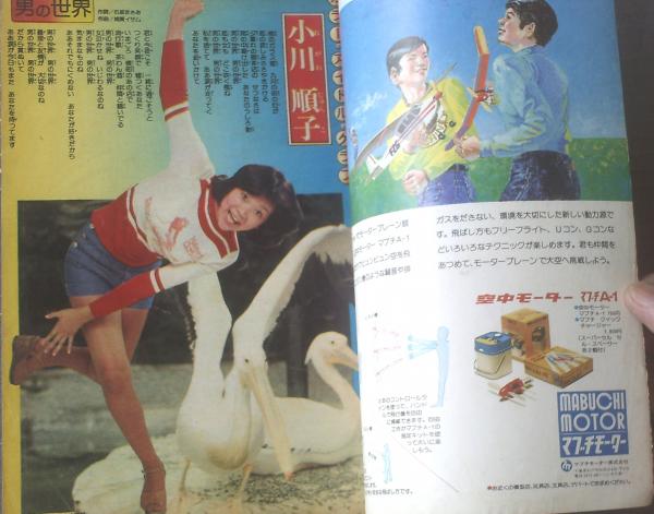 ゼニス新作モデル 週刊少年チャンピオン（昭和50年45号）】カラー・アイドル 美術総合