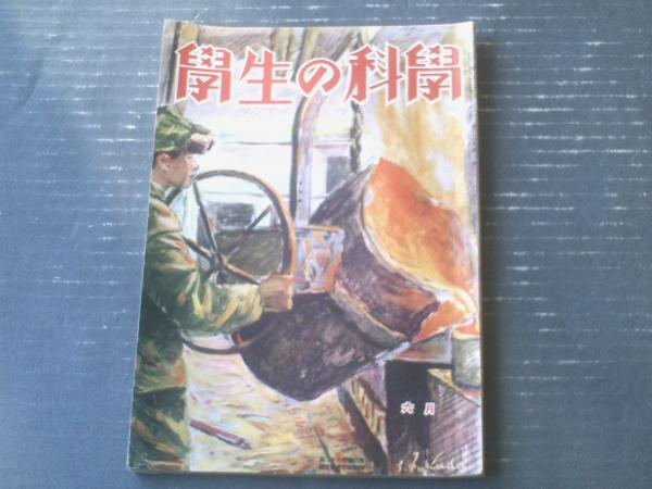 THEボクシング（昭和56年1月号）】上原康恒・レオネル