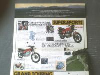 【個性快走、ホンダ２５０（スーパーホーク・ＣＢ２５０ＲＳＺ・ＣＢ２５０ＲＳ等）パンフレット】ＨＯＮＤＡ/昭和５５年（全６ページ・一枚物）