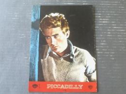 【映画「エデンの東（ジェームズ・ディーン主演/エリア・カザン監督）」パンフレット（Ｂ５・全１８Ｐ）】ピカデリー劇場/昭和３０年