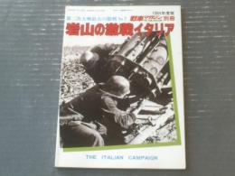 【岩山の激戦イタリア（第二次大戦最大の激戦Ｎｏ．７）】戦車マガジン（昭和５９年初版）