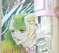 【別冊花とゆめ（昭和５７年・冬の号）】柴田昌弘特集・和田慎二・めるへんめーかー・野妻まゆみ・宮千恵・山本まゆり等
