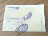 【長編小説 風と光と１７才（三島正・文/高橋香・画）】「美しい十代」昭和３９年４月号付録