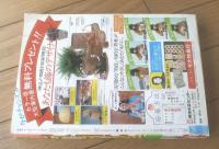 【週刊マーガレット（昭和５４年３１号）】二大読切「風に舞う鳥のように/森島黎」・「Ｇｏサイン午前０時！/あつたのりこ」等