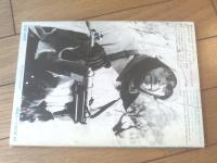 【第二次大戦のドイツ戦闘兵器の全貌】１９７９年版・戦車マガジン別冊