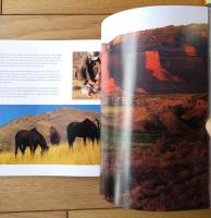 洋書【Ａrizona impressions（アリゾナ インプレッションズ)】Farcountry Press（平成１７年）