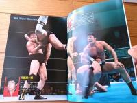 【プロレスアルバム４１/スペシャルプロレスカタログ ＹＥＡＲ’Ｓ ＢＯＯＫ１９８４（ガッツシリーズ４）】恒文社（昭和５９年）