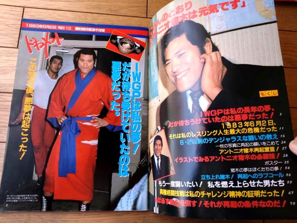 プロレスアルバム34/立ち上がれ！アントニオ猪木（ガッツ