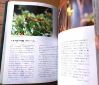 【里山の昆虫たちーその生活と環境ー（山下善平）】北海道大学図書刊行会/平成１１年初版