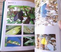 【里山の昆虫たちーその生活と環境ー（山下善平）】北海道大学図書刊行会/平成１１年初版