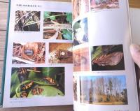 【里山の昆虫たちーその生活と環境ー（山下善平）】北海道大学図書刊行会/平成１１年初版