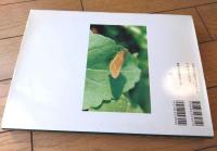 【里山の昆虫たちーその生活と環境ー（山下善平）】北海道大学図書刊行会/平成１１年初版