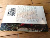 【全訳 十五才の頃（ビヴァリ・クリアリイ）】秋元書房ジュニア・シリーズ（昭和３８年初版）