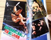 【別冊ゴング（昭和５９年４月号）】特別企画「改訂版ＡＷＡ世界ヘビー級王座変遷史」・「２大インタビュー/新間寿対ザ・タイガー」等