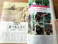 【ジュノンＪＵＮＯＮ（昭和５２年１０月号）】’７７～７８秋冬パリ・プレタポルテ・コレクション詳報・コーデュロイのジャケット等
