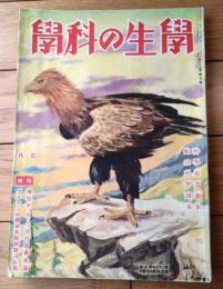 【学生の科学（昭和１６年５月号）】「戦争とドイツの写真科学」「模型Ｍ・Ａ・Ｓ設計図青写真」等