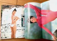 【平凡パンチ（昭和５６年５月１８日号）】由美かおる・薬師丸ひろ子・林リサ・杉れいか・小室等・吉田拓郎・井上陽水・ノーランズ等