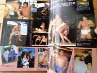 【相撲（平成４年１１月・九州場所展望号）】「秋場所全力士略歴付き星取表」等
