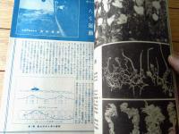 【月刊 学生の科学（昭和１８年５月号）】カラー口絵「飛行機の高度と軍艦の大きさ」・折込青写真「１００ミリ卓上ボール盤設計図」等