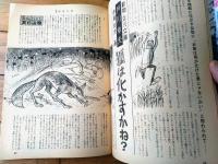 【漫画天国（昭和３８年１１月１日号）】合作「マイ・フェア・アンサー/関根義人・浜田貫太郎」・異色読物「動物・立川文庫/戸川幸夫」等