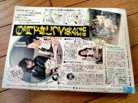 【週刊マーガレット（昭和５５年１５号）】巻頭カラー新連載「愛がありますか？（西谷祥子）」等